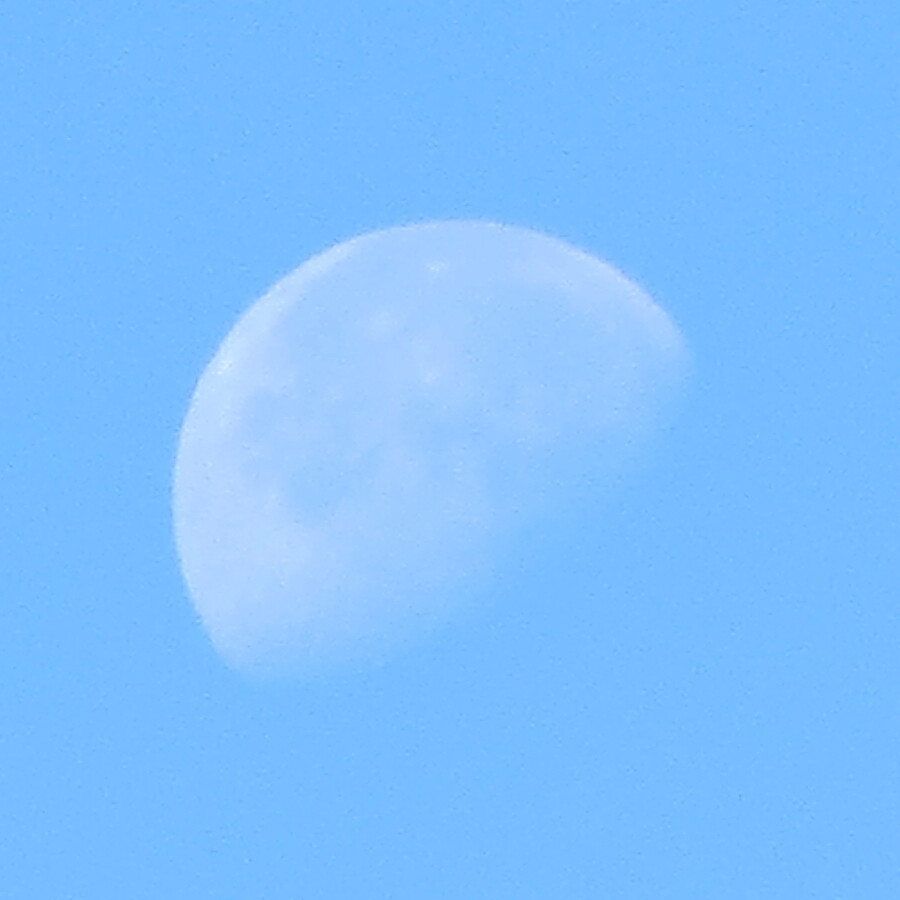 Mond 1